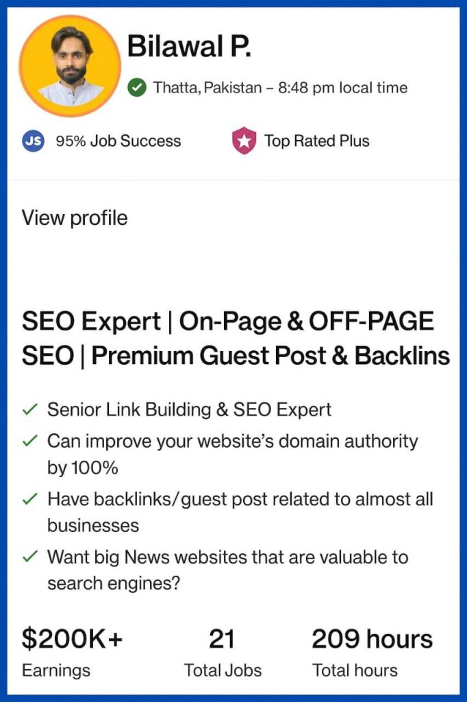Bilawal pirzada upwork profile